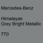 Preview: Mercedes-Benz, Himalayas Grey Bright Metallic, 770.